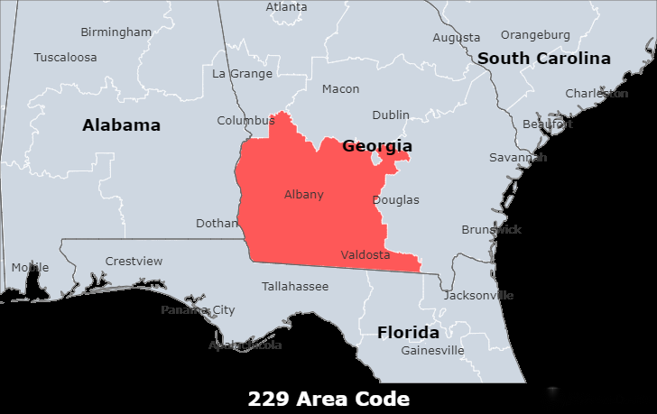229 area code