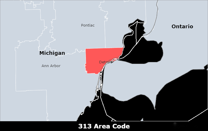 Get a 313 Area Code Number for Local Business in Detroit | Easyline