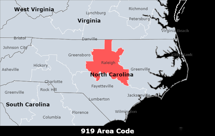 919 area code