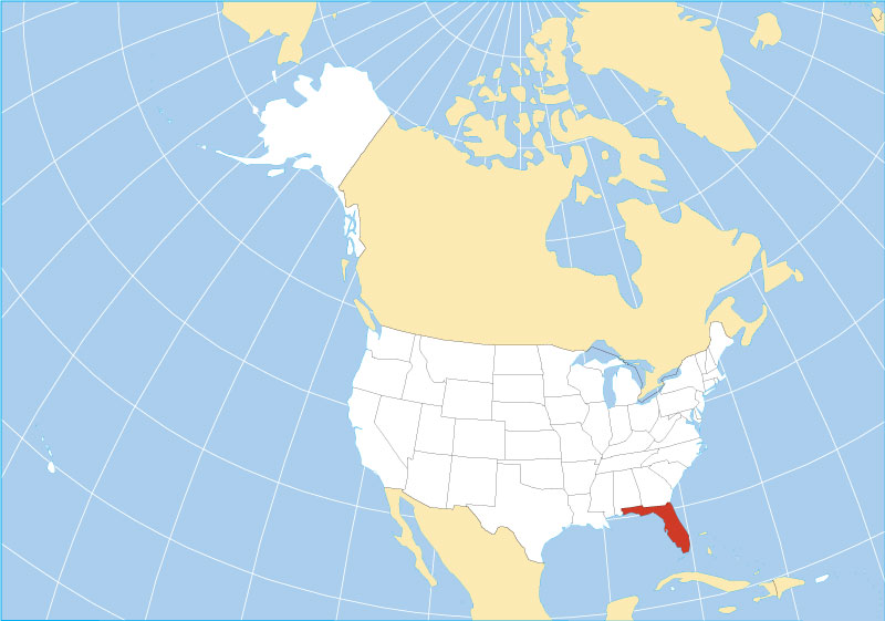 Florida area code