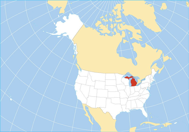 Michigan area code