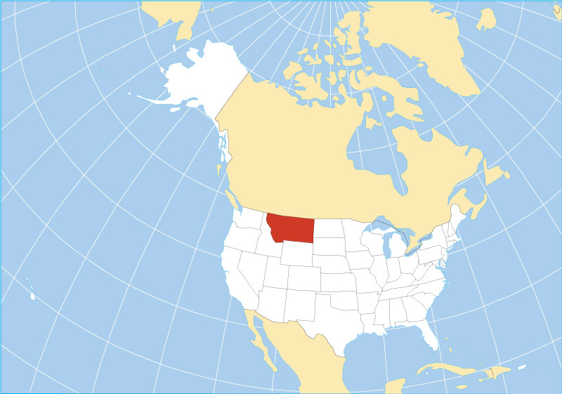 Montana area code