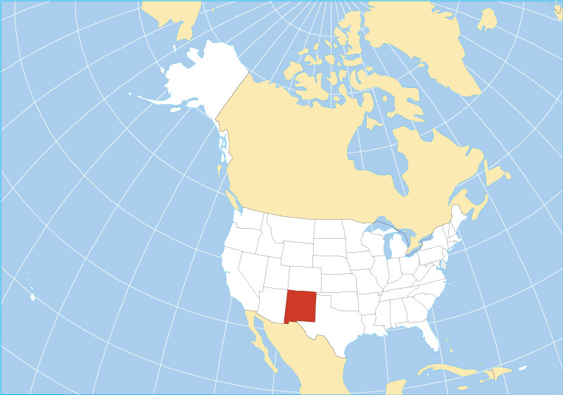 New Mexico area code
